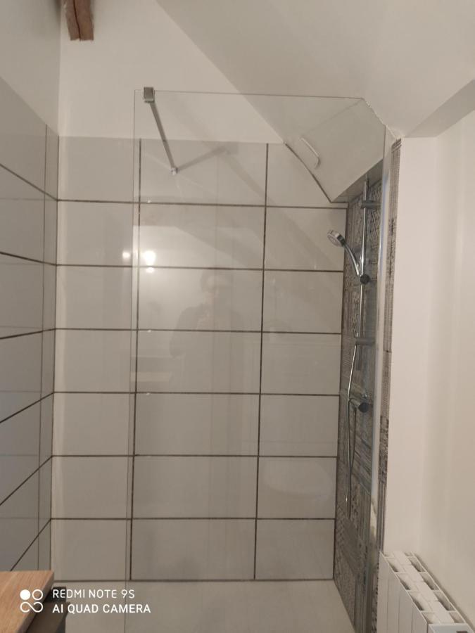 Bienvenue A La Grenouillere Villa Le Magny  Екстериор снимка